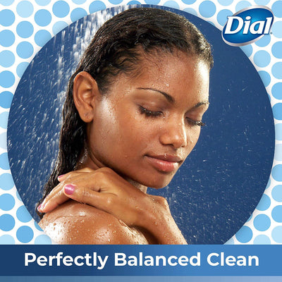 Dial Body Wash, Spring Water (35 fl oz 2 pk)