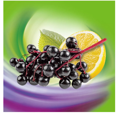 Triple Immune Power Elderberry Supplement Gummies (60ct)