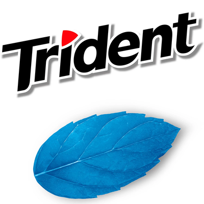 Trident White Peppermint Sugar Free Gum (12 pk)